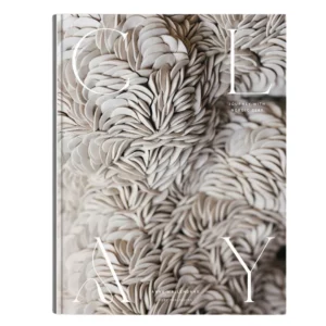 Clay Journey with Nordic Clay